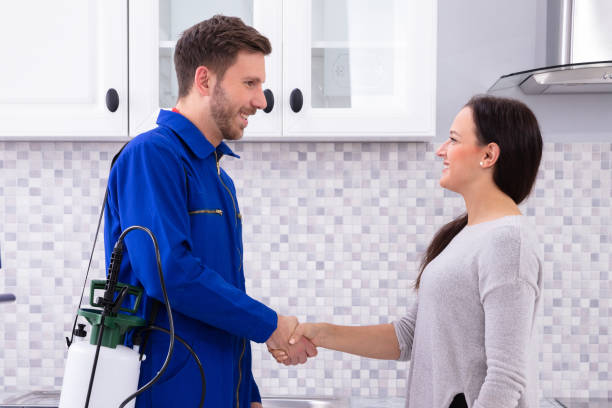 شركة مكافحة حشرات فى الحي السابع مدينه نصر 01028289344