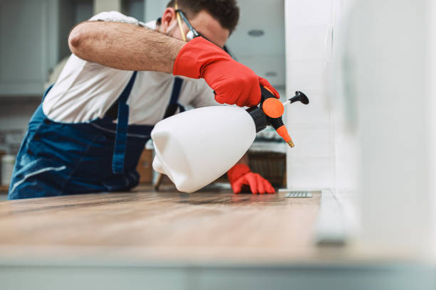 شركة مكافحة حشرات في الفيوم 01028289344 بخصم 55%